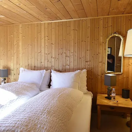 Ferienhaus Chalet Riedji Apartment